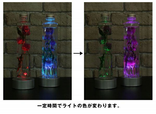 LEDライト 3灯丸型 単4乾電池付き 直径76mm| つくる楽しみ ハー