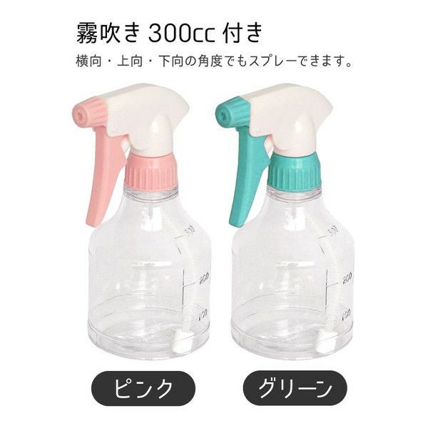 アイロン 霧吹きセット 小型 軽量 ドライアイロン コード付 The DRYザ