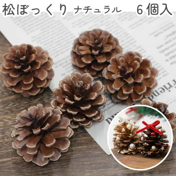 数量限定！ 天然松ぼっくり ナチュラル 6個入 クリスマス 工作 | 手芸