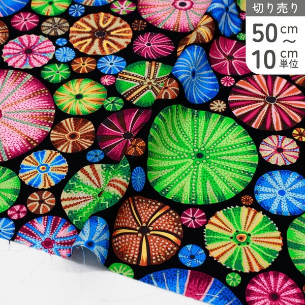 FSP-944 カラフルドット サークルアート ブラック