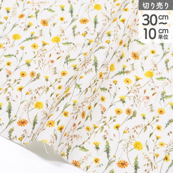 acufactum プリント