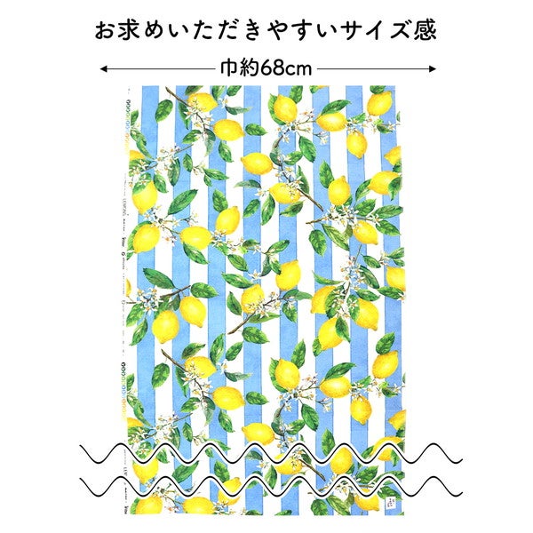 クラフト・布製品 o1 輸入生地 生地 EuropeanPremiumPrintデジタルプリントオックスハーフ